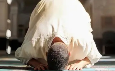 El pensador árabe Ali Muhammad Al-Shurafa escribe:  La Honra del Ser Humano por el Misericordioso