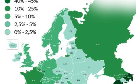¿Cuántos musulmanes viven en Europa?