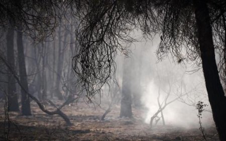El origen del incendio de Carcastillo, que aún no está perimetrado, fue la "acción humana" y no labores agrícolas