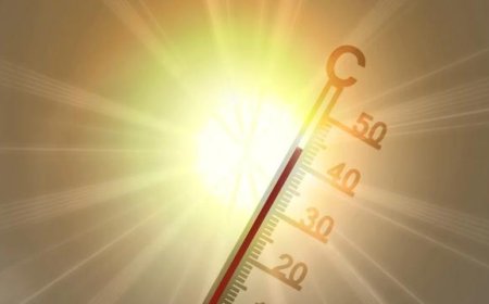 AEMET anuncia más días de calor extremo para esta semana y el puente de agosto: estas son las temperaturas máximas que se alcanzarán en Navarra