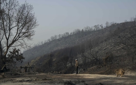 Los incendios dejan 3 muertos, 84.000 hectáreas arrasadas en una semana y complican la operación salida del puente
