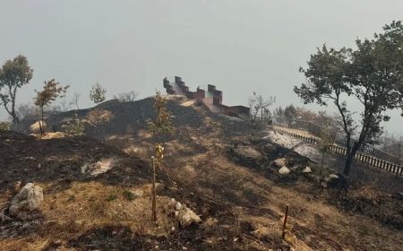 Los incendios en Ourense alcanzan un nivel desconocido: «É a peor situación da historia»