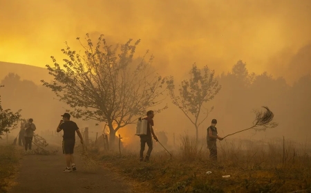 La Fiscalía indaga la conexión de la ola de incendios con la falta de planes de prevención