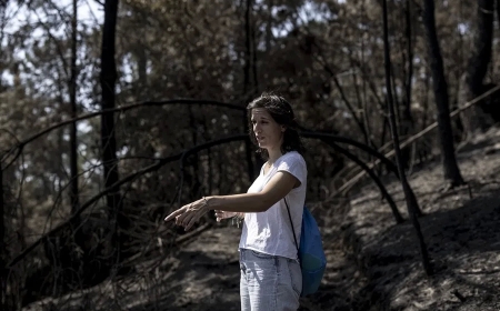 Incendios forestales en España, en directo hoy: focos activos y última hora en Castilla y León, Galicia y Extremadura
