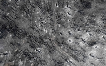 España supera las 410.000 hectáreas arrasadas en lo que va del año, casi 10 veces más que en 2024