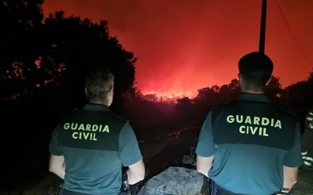 Castilla y León mantiene activos 18 fuegos, 10 graves, con reproducciones por el viento