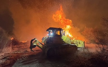 La quincena trágica en España: de la preemergencia estatal a las 411.000 hectáreas quemadas
