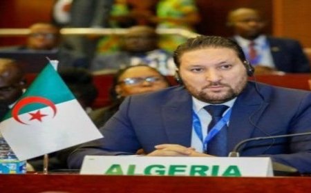 Argelia preside reunión para fortalecer consultas entre CPS-UA y Grupo Africano A3+