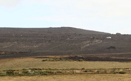 España deja atrás 20 días en llamas, cuatro muertos y 300.000 hectáreas arrasadas
