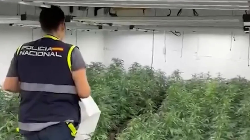 More than a dozen arrested in Spain over animal feed drug smuggling