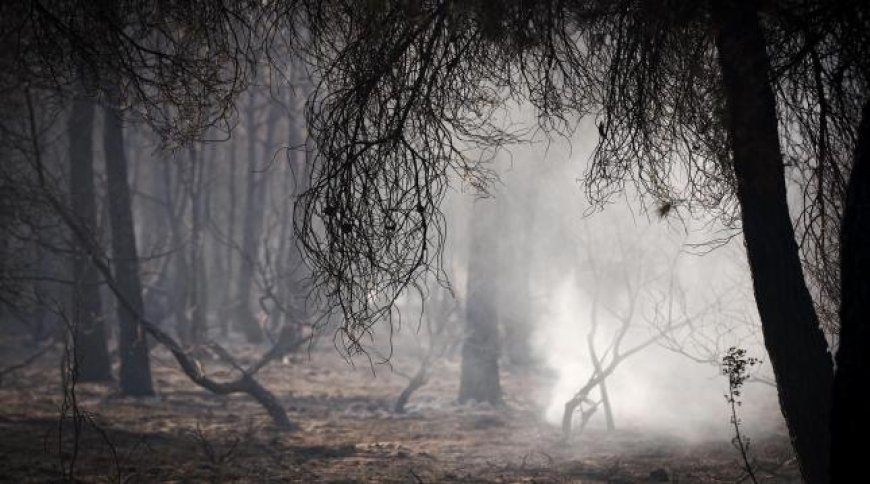 El origen del incendio de Carcastillo, que aún no está perimetrado, fue la "acción humana" y no labores agrícolas