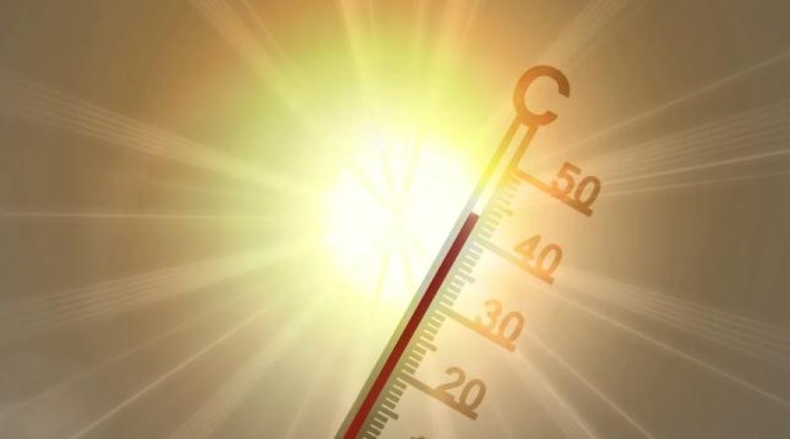 AEMET anuncia más días de calor extremo para esta semana y el puente de agosto: estas son las temperaturas máximas que se alcanzarán en Navarra