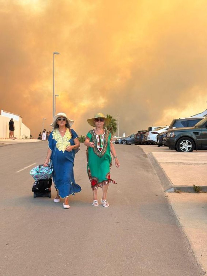 “Nos estamos cocinando vivos”: Europa arde por incendios mientras las temperaturas superan los 38 °C