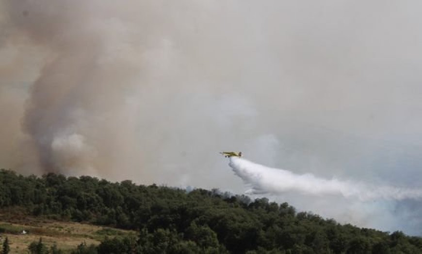 El ANP moviliza sus Fuerzas Aéreas contra los incendios en Béjaïa
