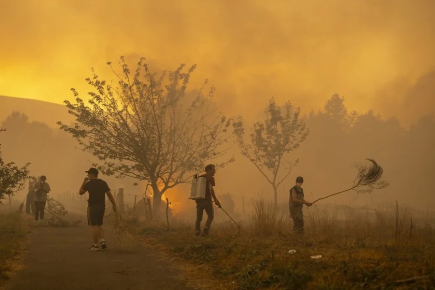 La Fiscalía indaga la conexión de la ola de incendios con la falta de planes de prevención