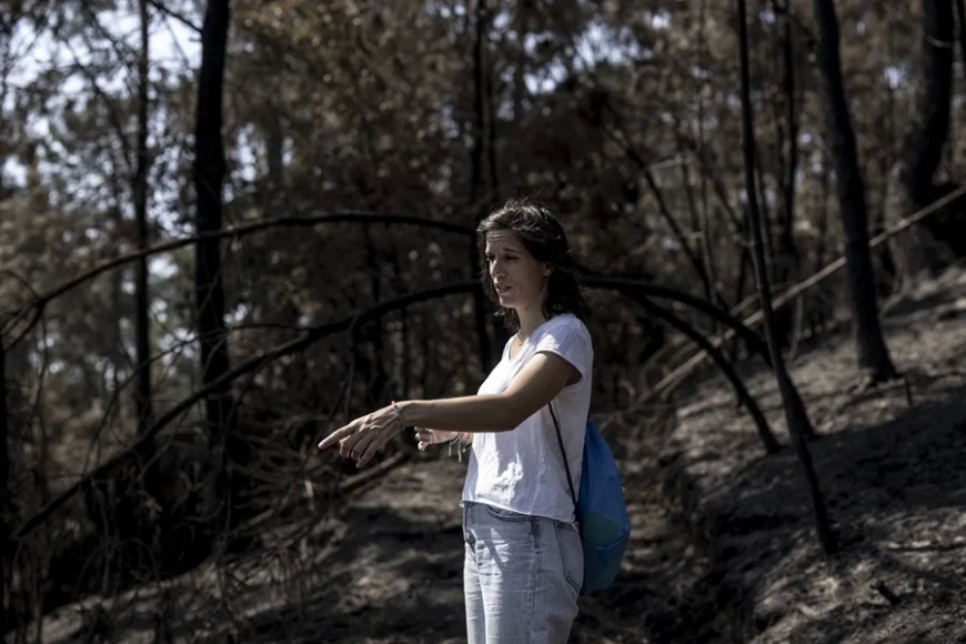 Incendios forestales en España, en directo hoy: focos activos y última hora en Castilla y León, Galicia y Extremadura