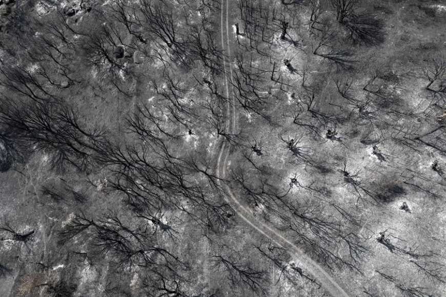 España supera las 410.000 hectáreas arrasadas en lo que va del año, casi 10 veces más que en 2024