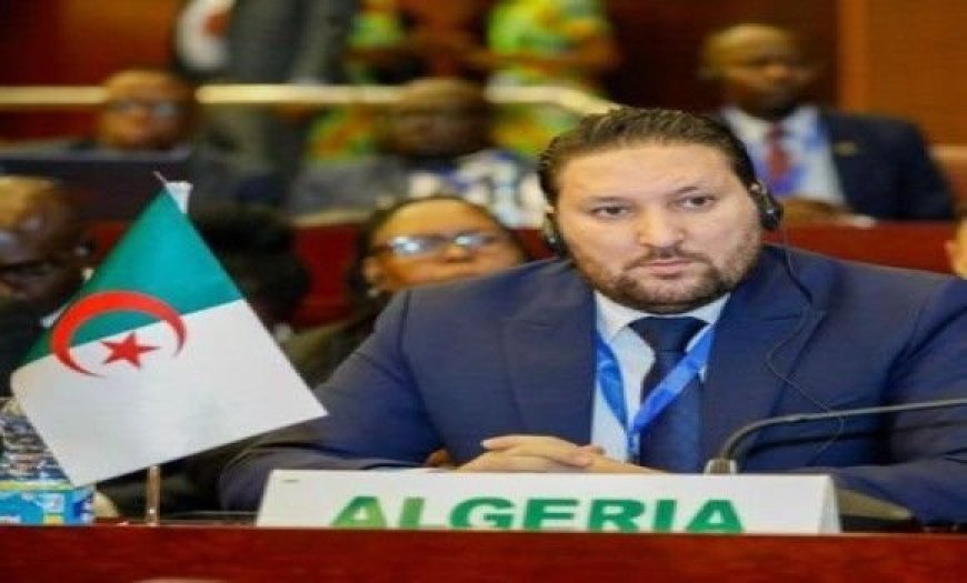 Argelia preside reunión para fortalecer consultas entre CPS-UA y Grupo Africano A3+