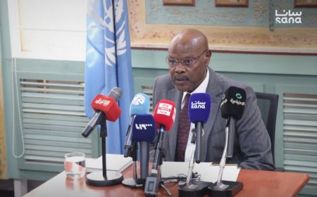 Coordinador Humanitario de la ONU alerta sobre crítica situación humanitaria en Siria