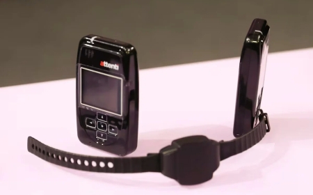 Un fallo del sistema de pulseras para maltratadores deja a «una gran cantidad» de agresores en libertad