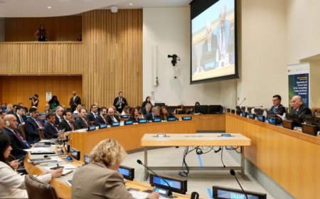 ONU reafirma respeto a la soberanía siria en el caso Al-Hol