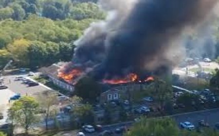 EE. UU.: tiroteo en Michigan deja un muerto y varios heridos, informa la policía