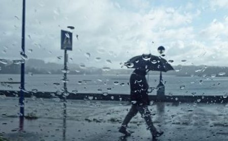 Seguir los avisos oficiales y preparar un kit de emergencia: cómo actuar ante un episodio de lluvias torrenciales