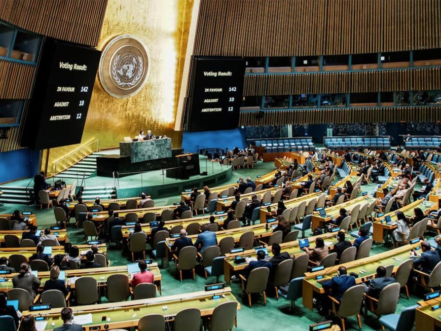 La Asamblea General de la ONU aprueba una resolución sobre la participación de Palestina en las reuniones de alto nivel del 80º período de sesiones de forma remota