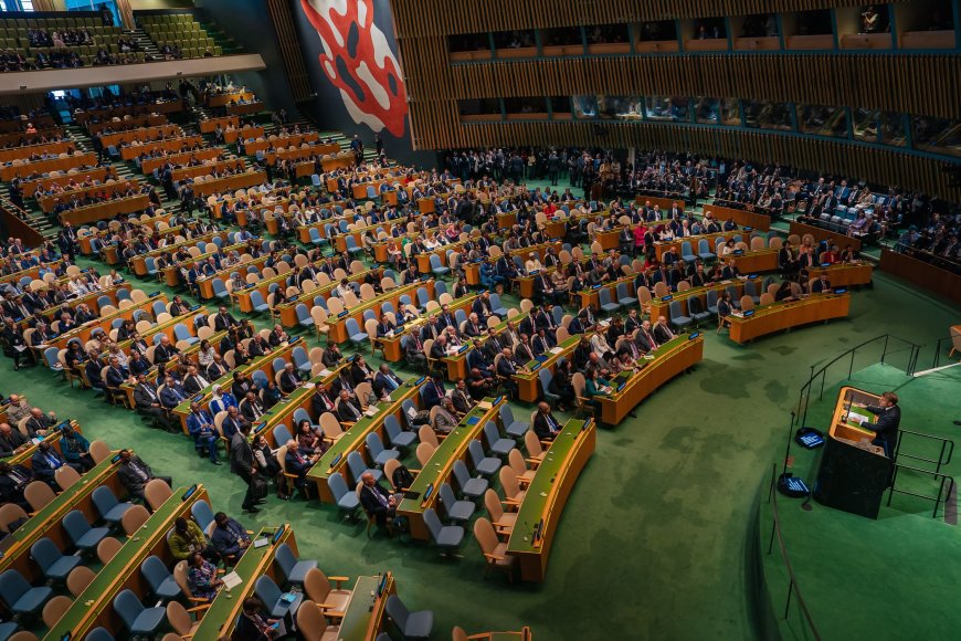 Abdullah bin Zayed encabeza la delegación emiratí en la histórica conferencia internacional sobre la solución de los dos Estados