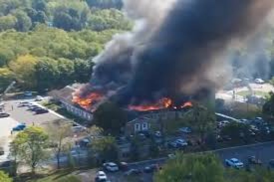 EE. UU.: tiroteo en Michigan deja un muerto y varios heridos, informa la policía