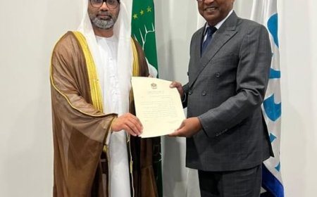 Un nuevo informe mundial de IRENA señala cuellos de botella en la inversión y pide a los gobiernos objetivos más ambiciosos en renovables antes de la COP30