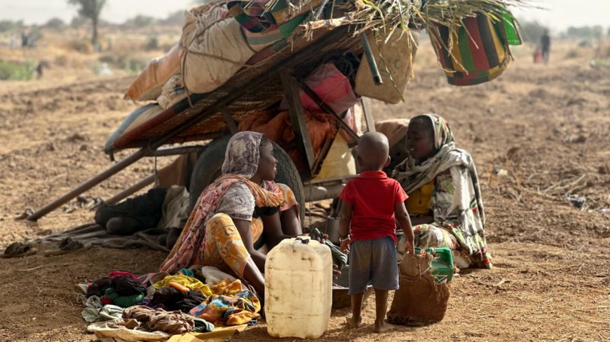 Sudán: un ataque con drones atribuido a las FAR deja al menos 60 muertos en El Fasher