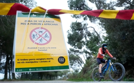 La Generalitat confía en que la UME se sume al control de la peste hoy o mañana