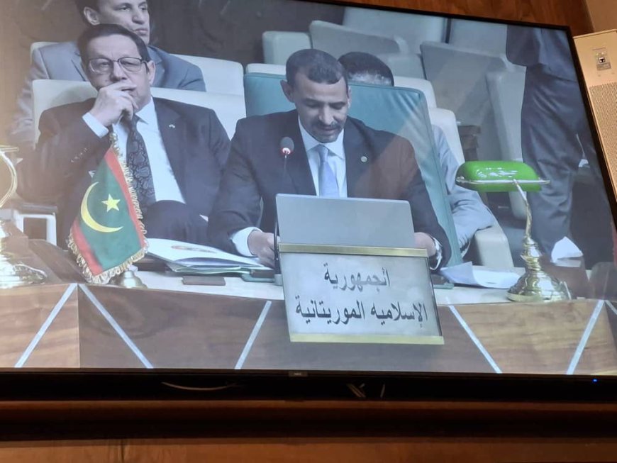 Ministros árabes de Información abordan el futuro del trabajo mediático conjunto en medio de las transformaciones globales… Mauritania presenta su experiencia reformadora