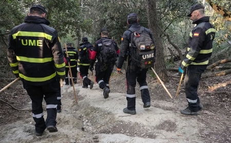 Hallan una cincuentena de jabalíes muertos dentro de la ‘zona cero’ de la peste porcina africana