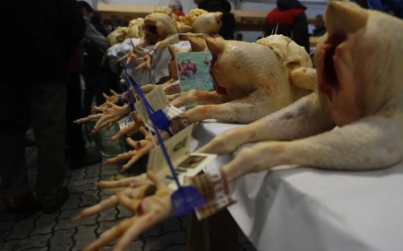 La gripe aviar no afecta a una Navidad en la que coge impulso la compra de aves selectas