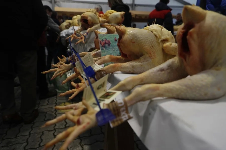 La gripe aviar no afecta a una Navidad en la que coge impulso la compra de aves selectas