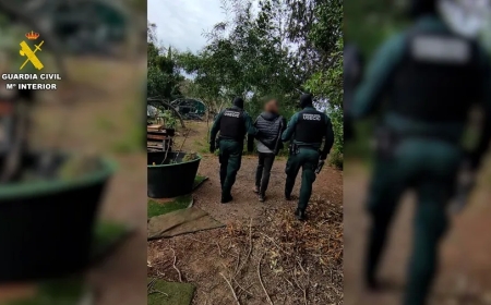 Detenidos cuatro cabecillas de Anonymous en España por ciberataques a organismos públicos