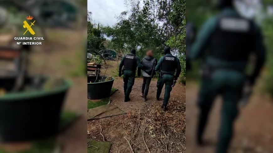 Detenidos cuatro cabecillas de Anonymous en España por ciberataques a organismos públicos