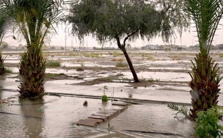 Al Tawiyen registra las mayores precipitaciones en Emiratos Árabes Unidos el miércoles