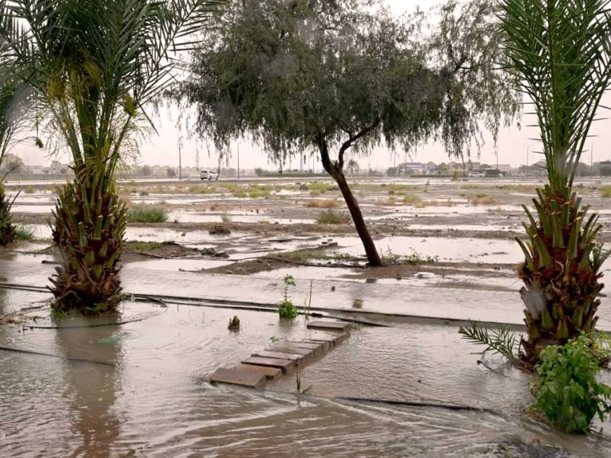 Al Tawiyen registra las mayores precipitaciones en Emiratos Árabes Unidos el miércoles