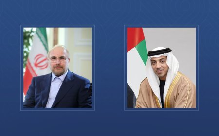 Mansour bin Zayed y el presidente del Parlamento iraní abordan la desescalada regional en una llamada