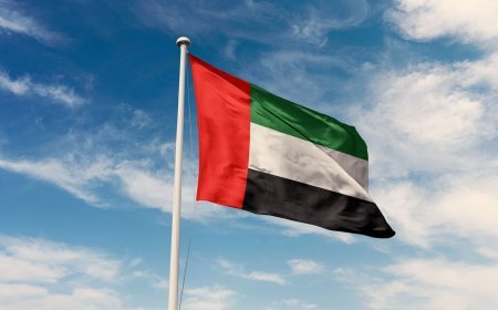 Emiratos Árabes Unidos condena enérgicamente los ataques terroristas de Irán contra Bahréin