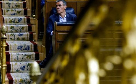 Sánchez garantiza que jamás conoció conductas irregulares en el PSOE y avala que no haya espacios de impunidad
