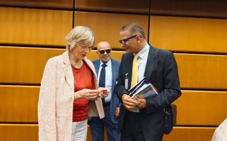 Por invitación oficial: La Fundación "Mensaje de Paz Global" participa en el seminario de las Naciones Unidas en Viena sobre el papel de las ONG en la construcción de la paz