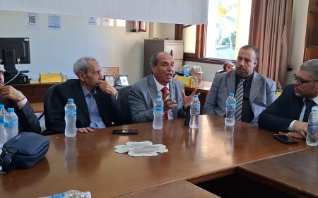 Ahmed Shaban, miembro del Consejo de Administración de la Fundación Global Mensaje de Paz: Construir la conciencia es la primera línea de defensa de la seguridad nacional y la lucha contra los rumores