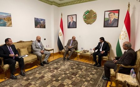 Una delegación de la Fundación Mensaje de Paz Global se reúne con el embajador de Tayikistán en El Cairo